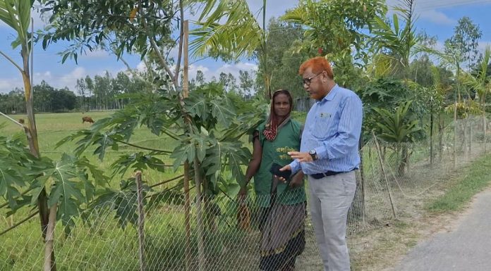 বনায়নের ছোঁয়ায় বদলে যাচ্ছে থানাঘাট-সাহেবগঞ্জ সড়ক