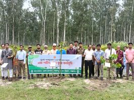 জুলাই-আগস্ট গণঅভ্যুত্থানে শহীদদের স্মরণে পঞ্চগড়ে ‘এক শহীদ, এক বৃক্ষ’ কর্মসূচি পালিত