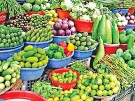 দিনাজপুরের কৃষিজমিতে মাত্রাতিরিক্ত কীটনাশক ব্যবহারে চরম স্বাস্থ্যঝুঁকি