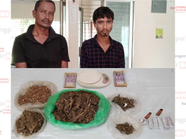 পার্বতীপুরে যৌথবাহিনীর অভিযানে গাঁজাসহ পিতা ও পুত্র গ্রেফতার