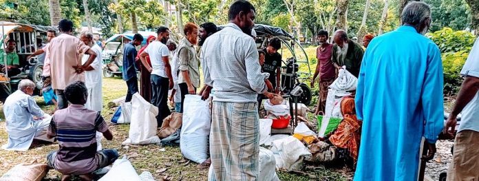 গাইবান্ধায় কৃষি উৎপাদন বাড়াতে প্রণোদনা কর্মসূচি সহায়ক হবে : কৃষি অফিস