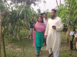 নীলফামারীতে দেশি-বিদেশি আমে রঙিন রুমার স্বপ্নবাগান