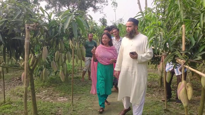 নীলফামারীতে দেশি-বিদেশি আমে রঙিন রুমার স্বপ্নবাগান